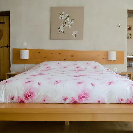 Cocon Des Cevennes - Pierre De Lune Saint-André-de-Valborgne